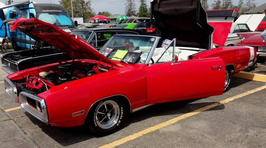 DSC00036 (Small).JPG