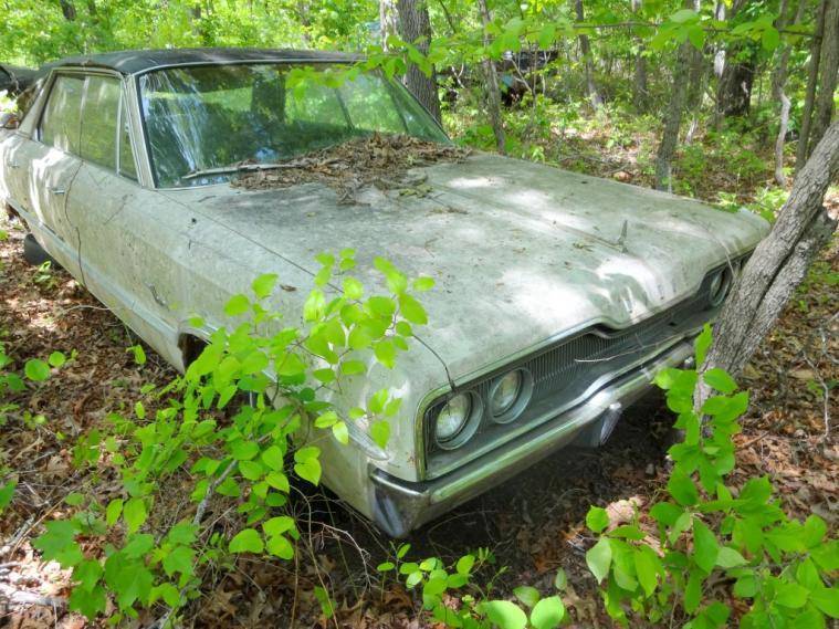 DSC00920 (Medium).jpg