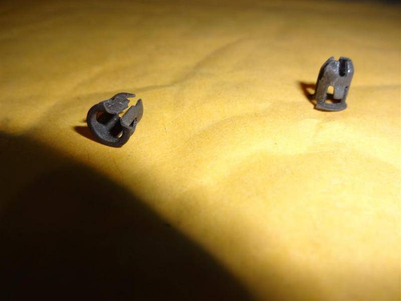 DSC01051 (Large).jpg