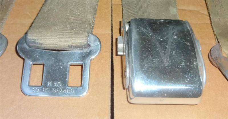 DSC01124 (Large).jpg