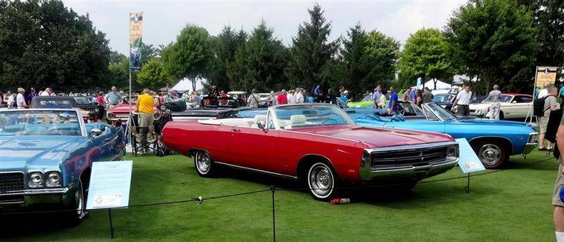 DSC01179 (Large).jpg