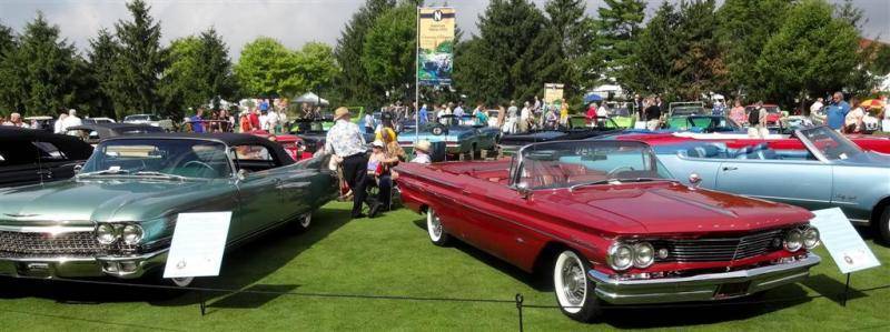 DSC01180 (Large).jpg