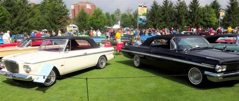 DSC01181 (Large).jpg