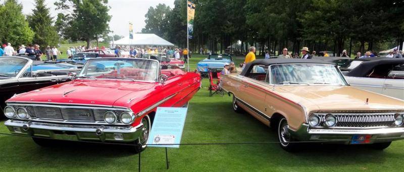 DSC01182 (Large).jpg