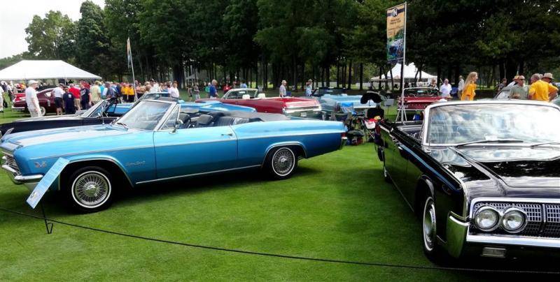 DSC01183 (Large).jpg