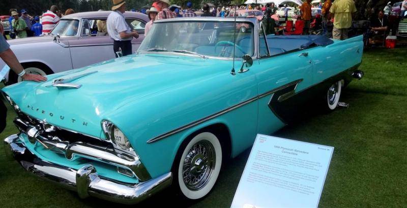 DSC01196 (Large).jpg