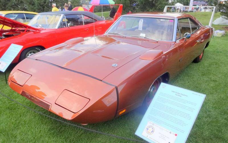 DSC01198 (Large).jpg