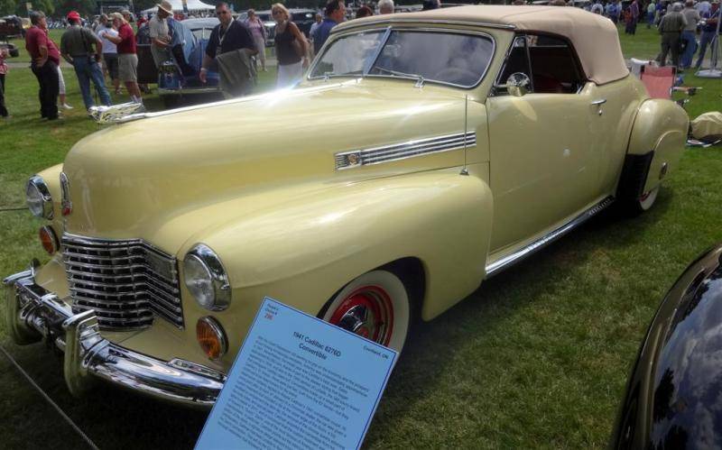 DSC01231 (Large).jpg