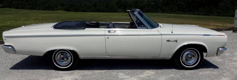 DSC01274 (Large).jpg