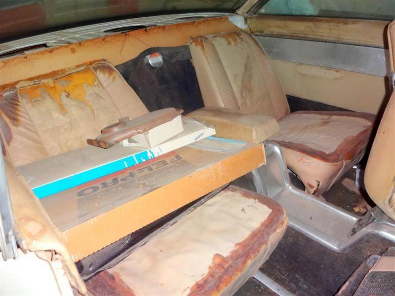 DSC01404 (Large).jpg