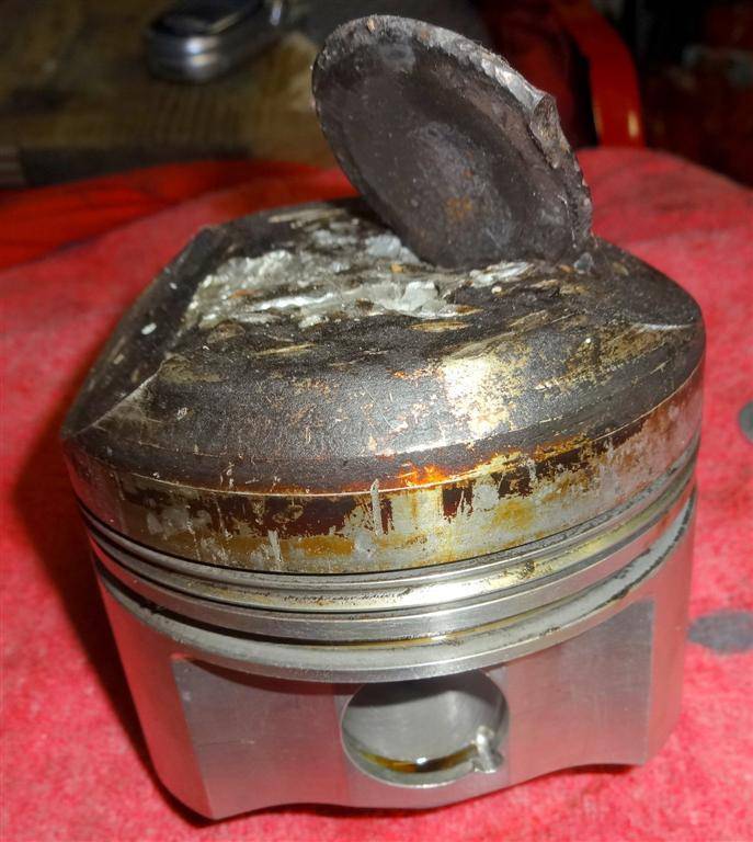 DSC01409 (Large).JPG