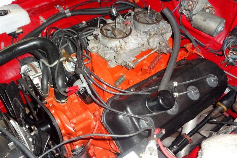 DSC01413 (Large).jpg