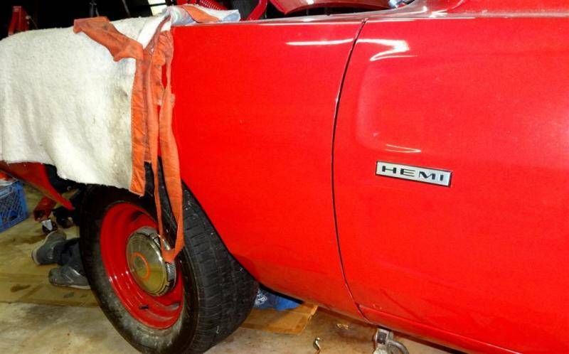 DSC01415 (Large).jpg