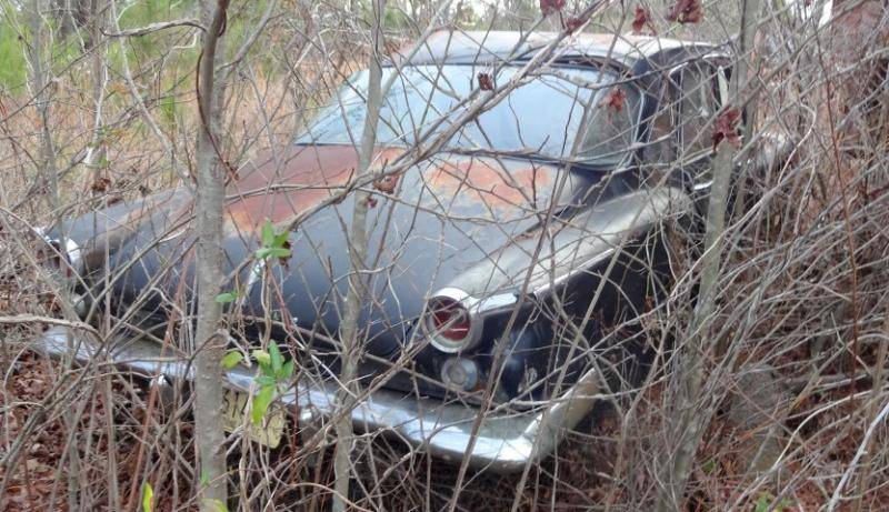 DSC01634 (Small).jpg