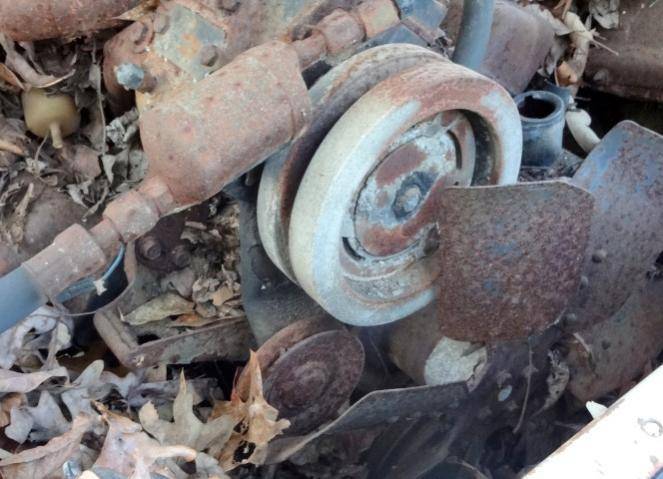 DSC01638 (Small).jpg