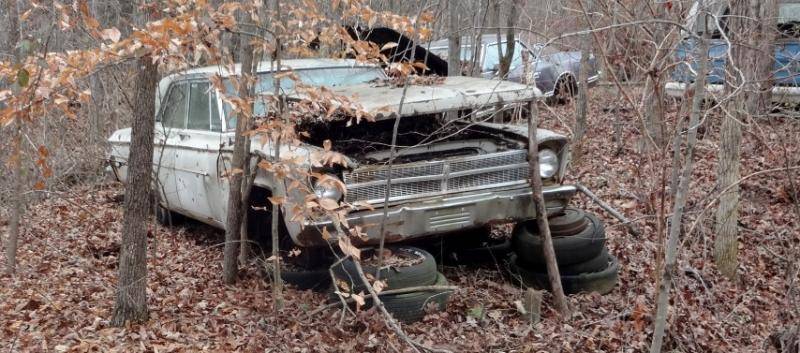 DSC01640 (Small).jpg