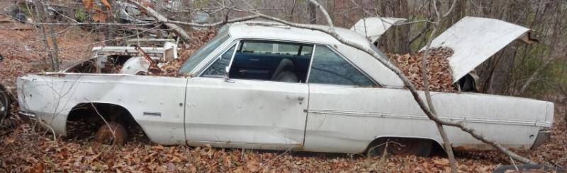 DSC01642 (Small).jpg