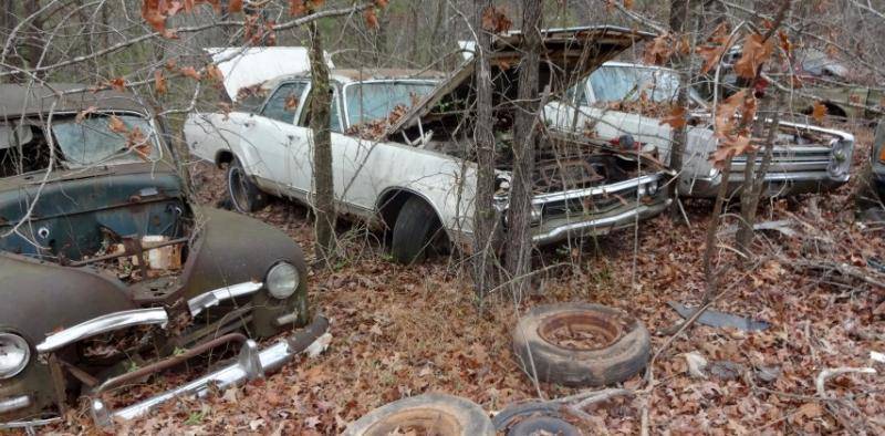 DSC01643 (Small).jpg