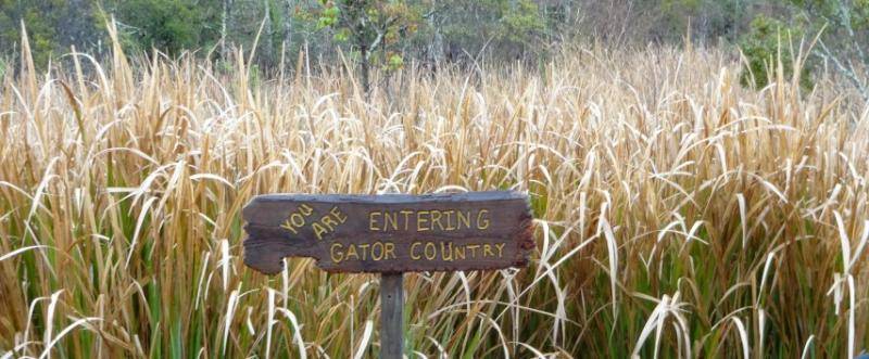 DSC01837 (Small).jpg