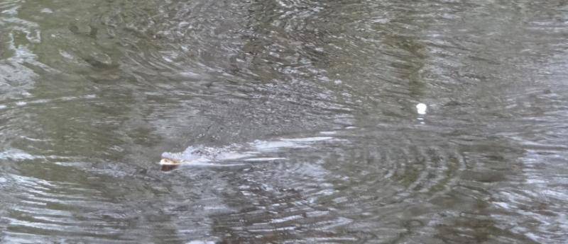 DSC01839 (Small).jpg