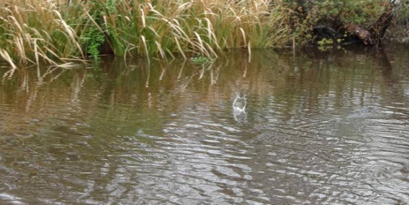 DSC01840 (Small).jpg