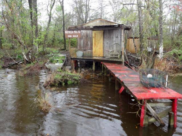 DSC01842 (Small).jpg