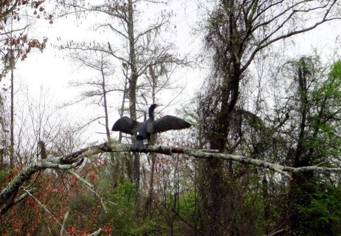 DSC01846 (Small).jpg