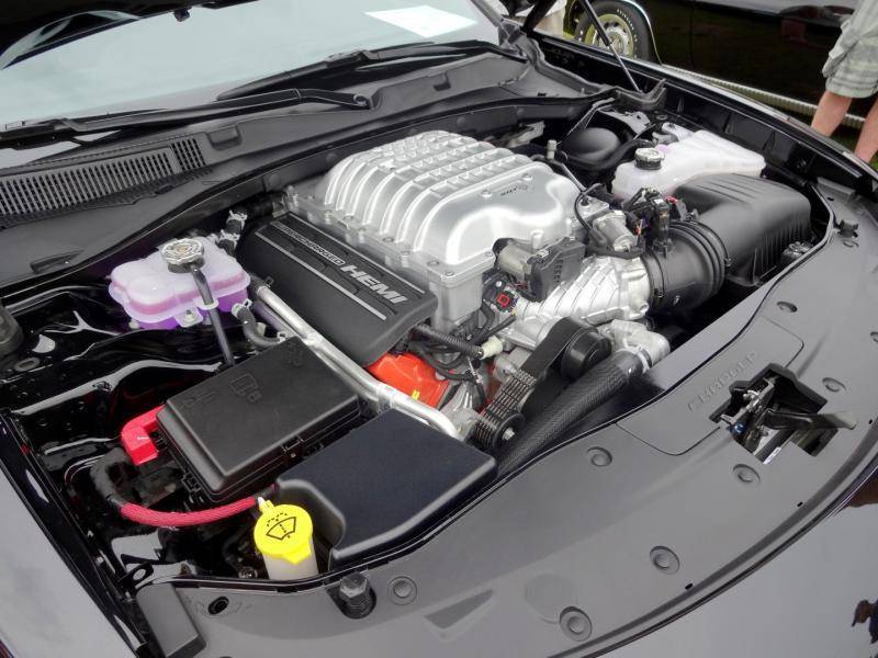 DSC02035 (Large).jpg