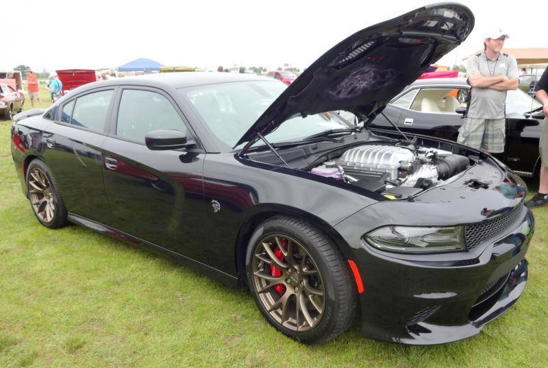 DSC02036 (Large).jpg