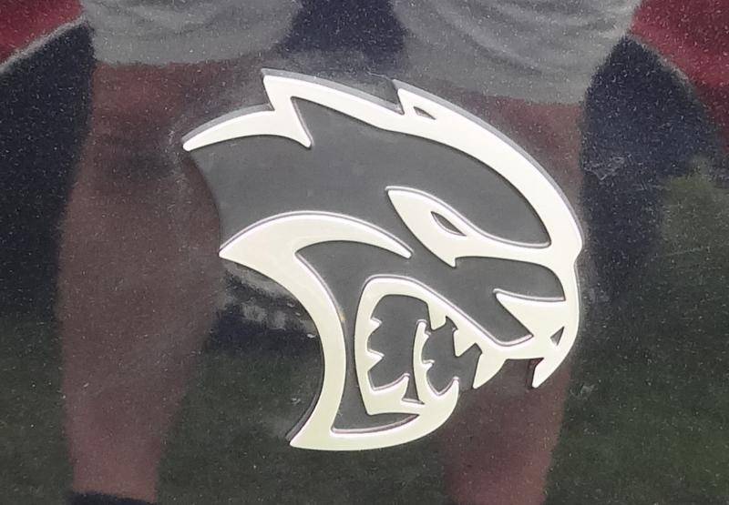 DSC02037 (Large).jpg