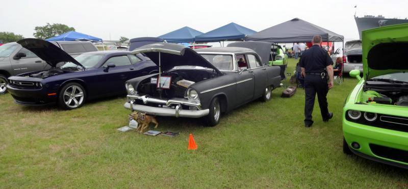 DSC02045 (Large).jpg