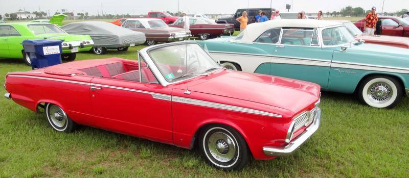 DSC02052 (Large).jpg