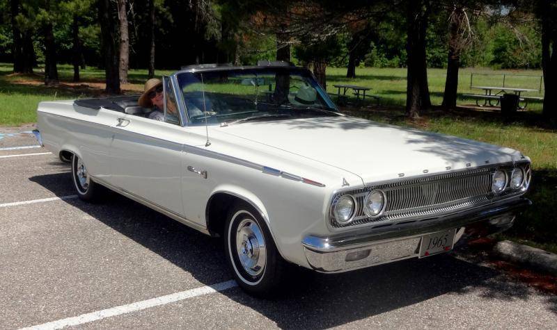 DSC02054 (Large).jpg