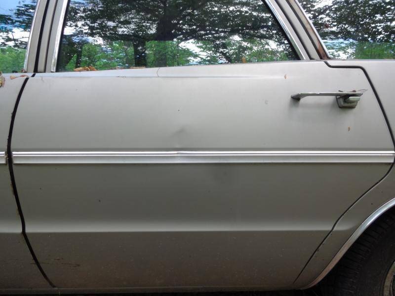 DSC02057 (Large).jpg