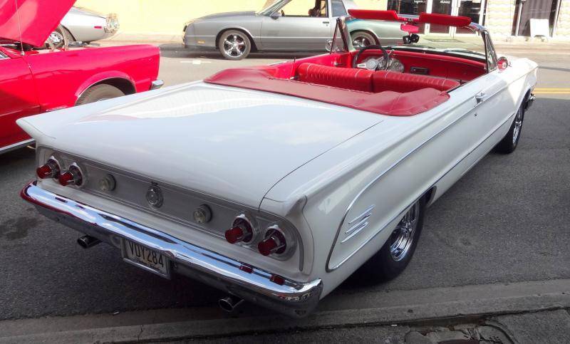 DSC02137 (Large).jpg