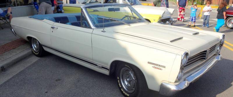 DSC02138 (Large).jpg