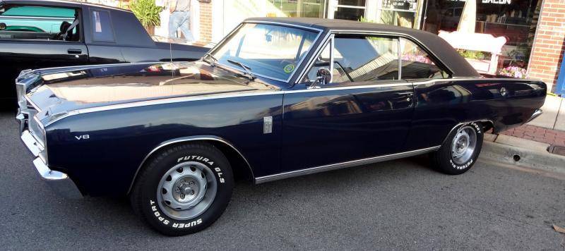 DSC02141 (Large).jpg