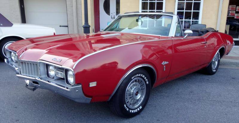 DSC02142 (Large).jpg