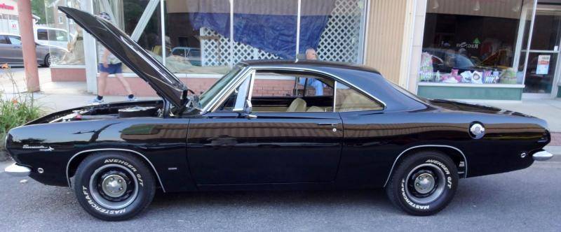 DSC02145 (Large).jpg