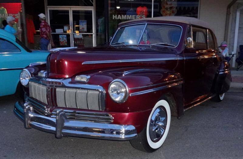 DSC02155 (Large).jpg