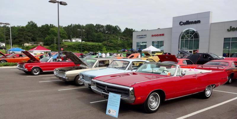 DSC02214 (Large).jpg