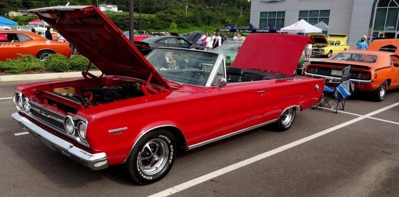 DSC02215 (Large).jpg