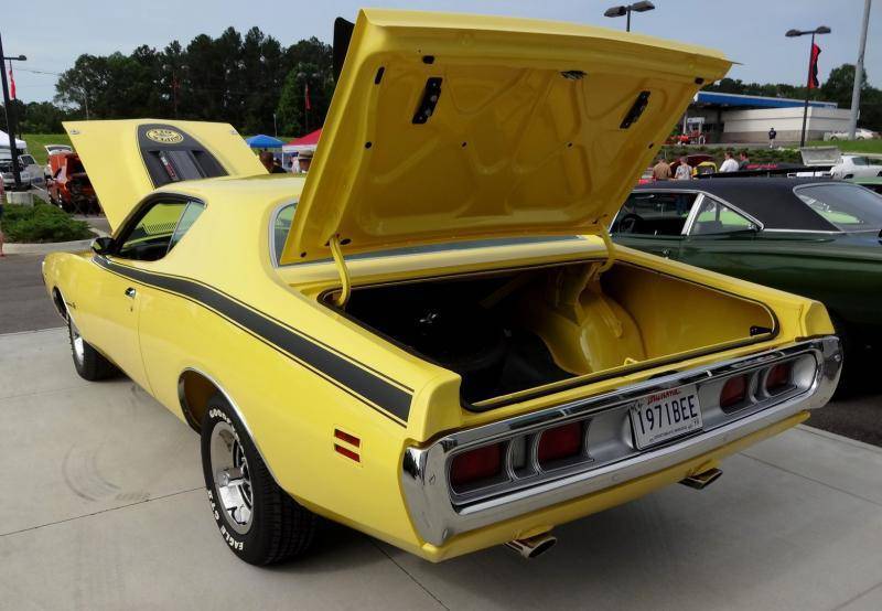 DSC02220 (Large).jpg