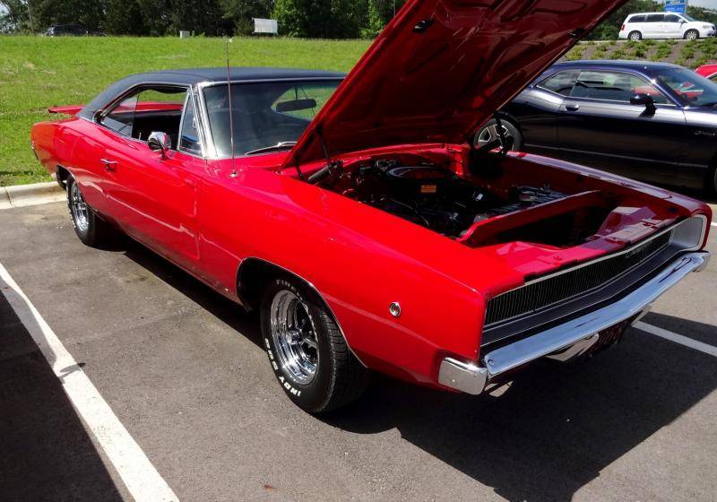 DSC02234 (Large).jpg