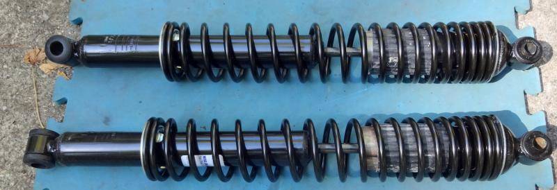 DSC02330 (Large).jpg