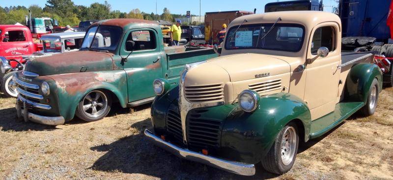 DSC02338 (Large).jpg