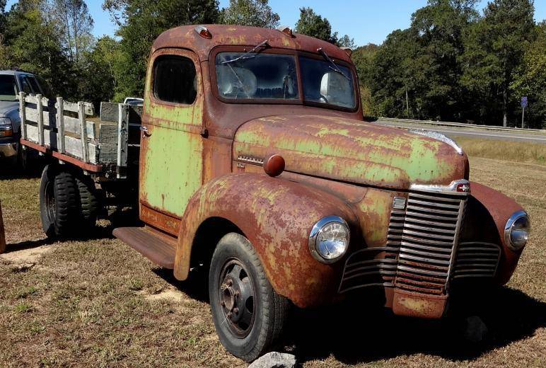 DSC02348 (Large).jpg