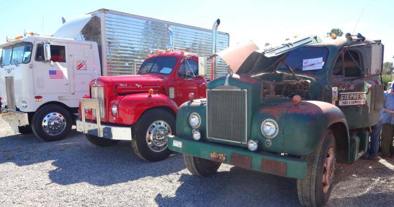 DSC02350 (Large).jpg