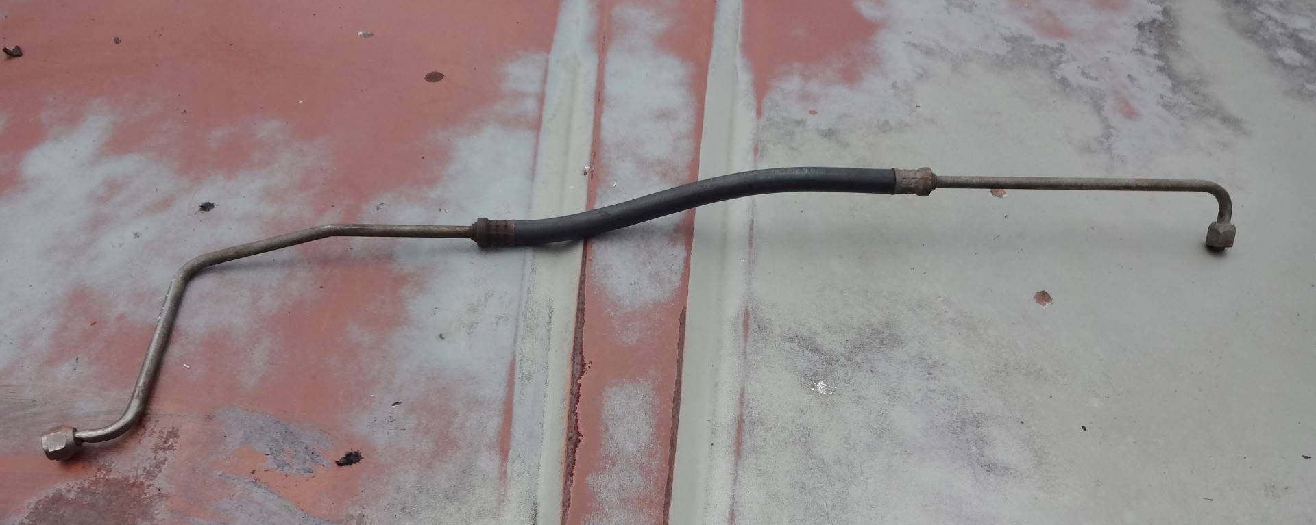 DSC02483 (Large).JPG