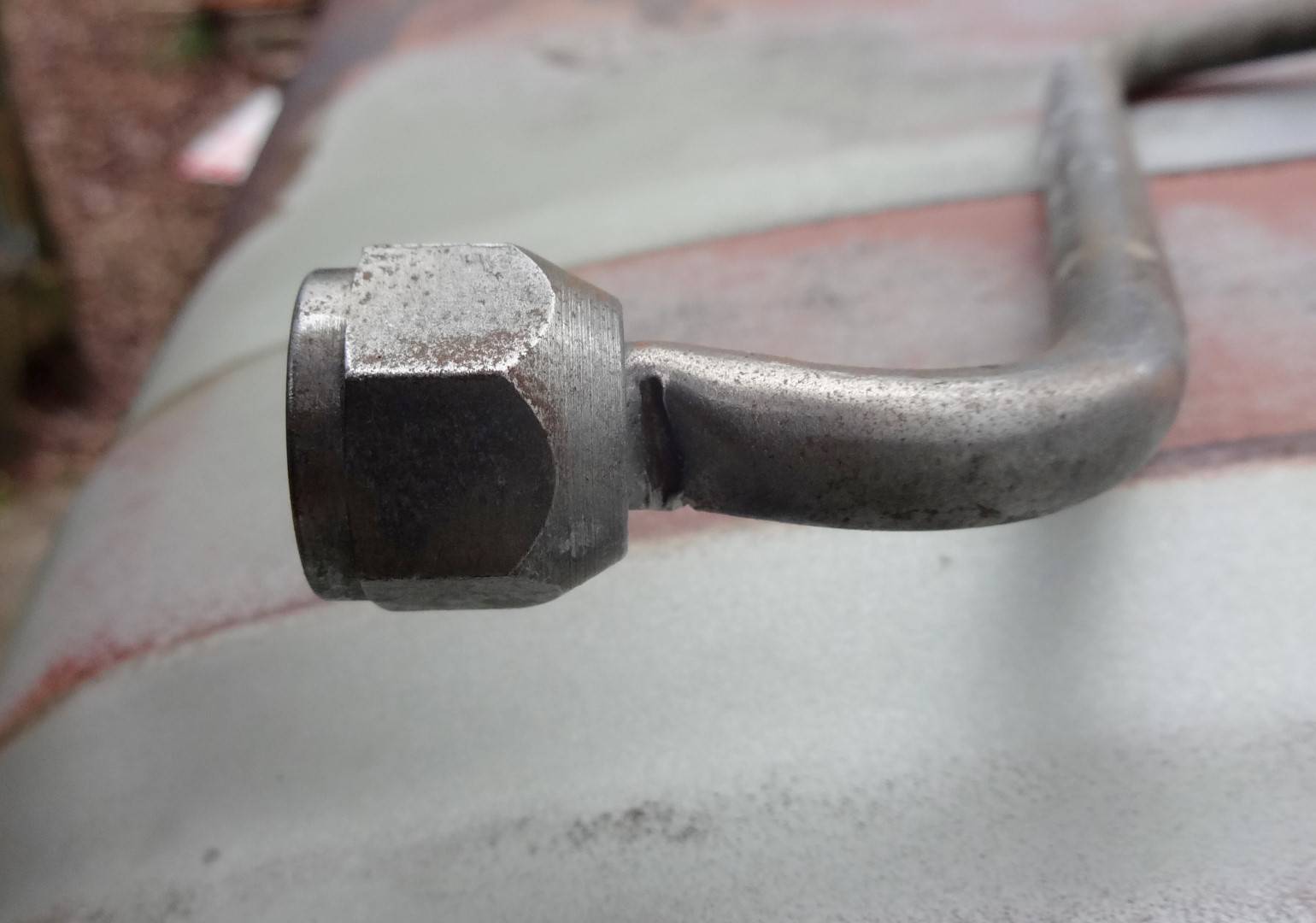 DSC02484 (Large).JPG